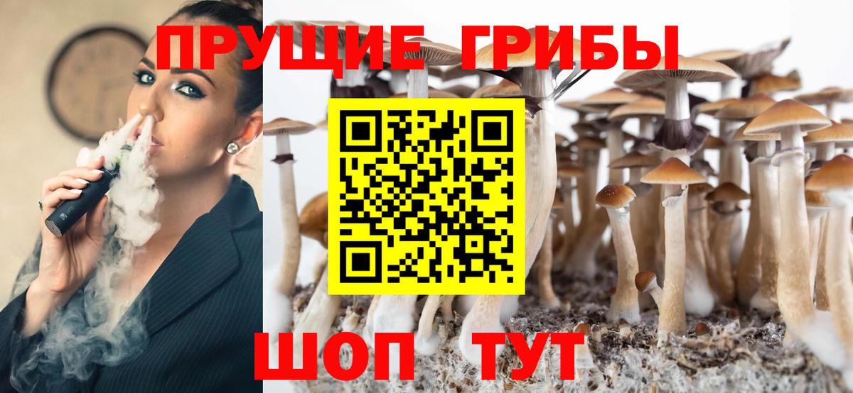 Галлюциногенные грибы мухоморы  наркота  Вход с VPN  Ленинск-Кузнецкий  Галлюциногенные грибы Psilocybine cubensis 